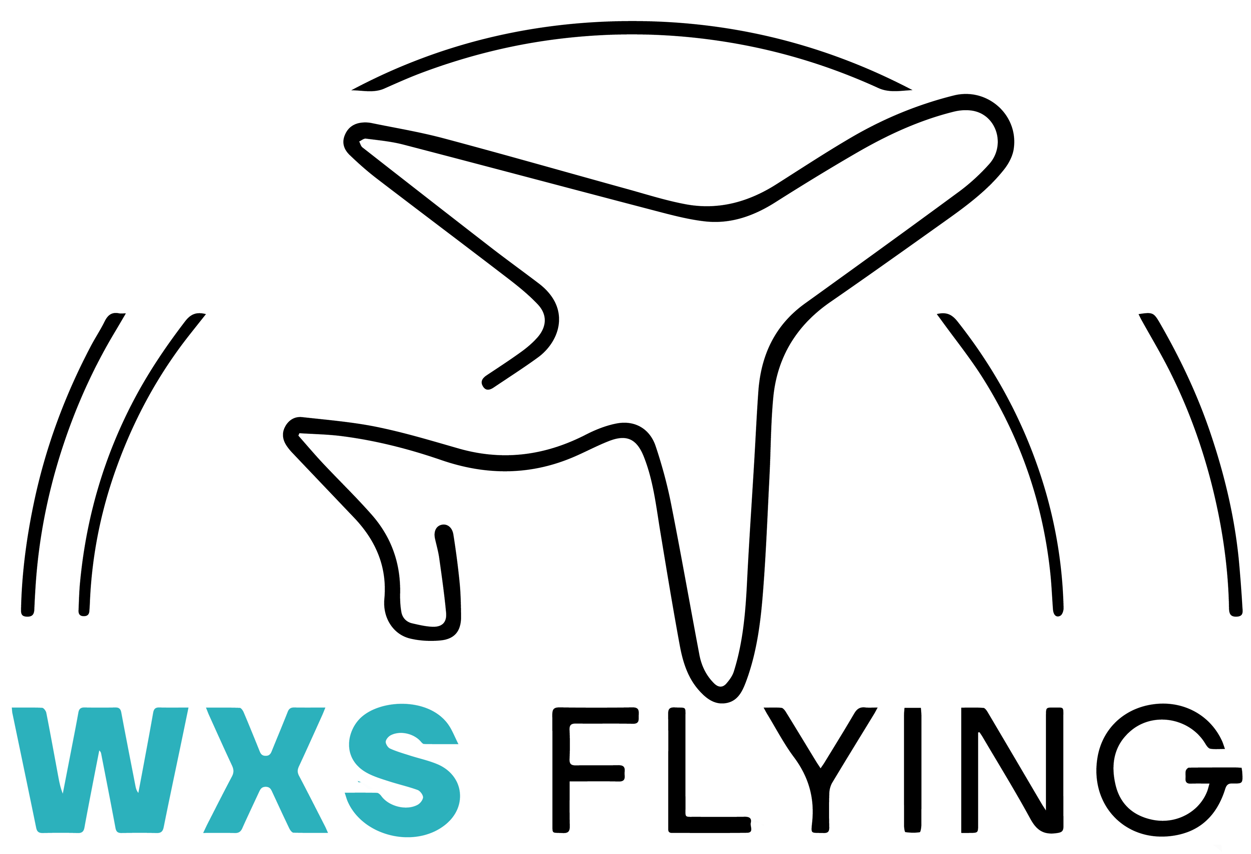 Travis Flight Website